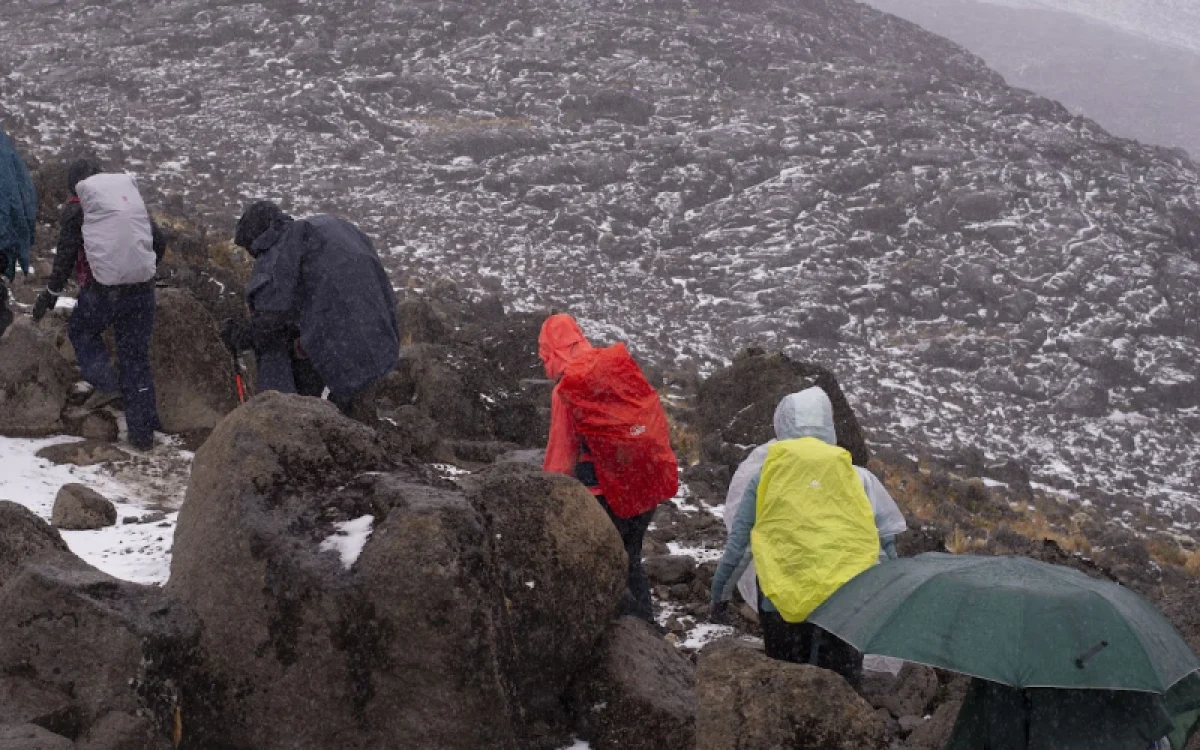 7-days-kilimanjaro-climb-rongai-route1 7-days-kilimanjaro-climb-rongai-route1