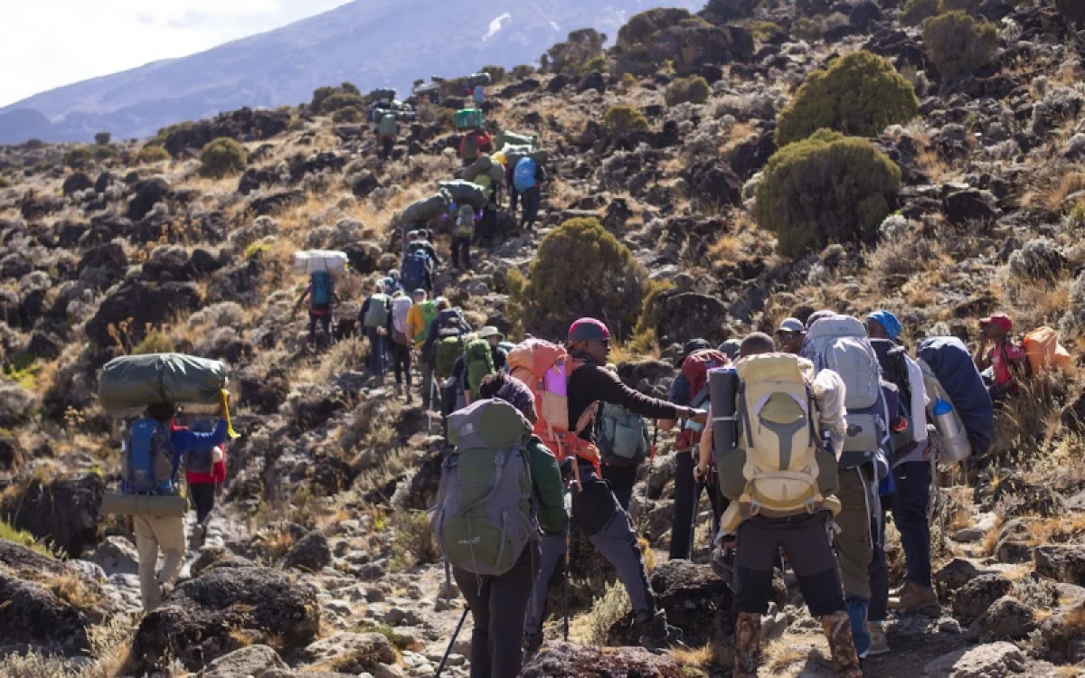 8-days-kilimanjaro-climb-lemosho-route3 8-days-kilimanjaro-climb-lemosho-route3