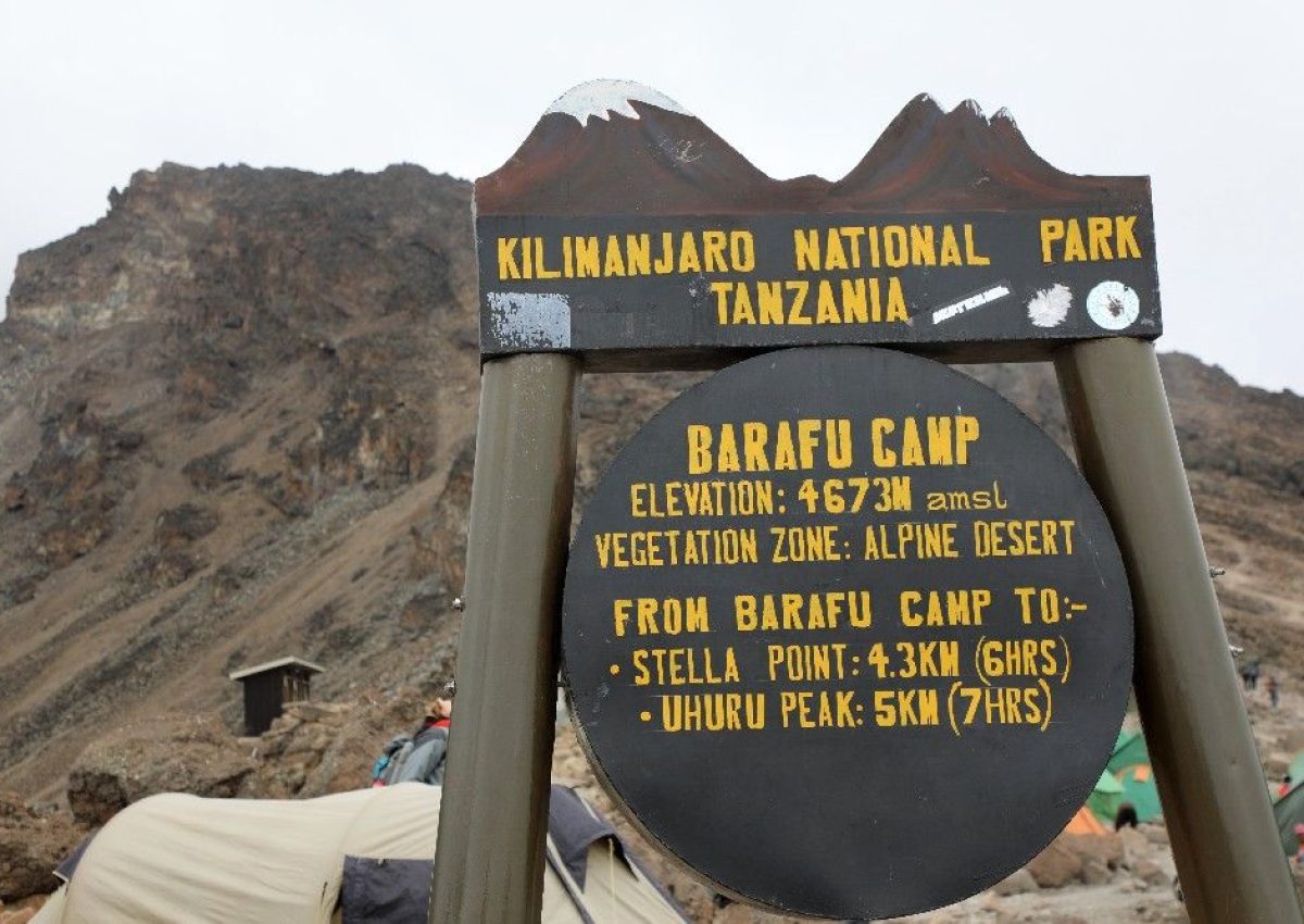 barafu-camp barafu-camp