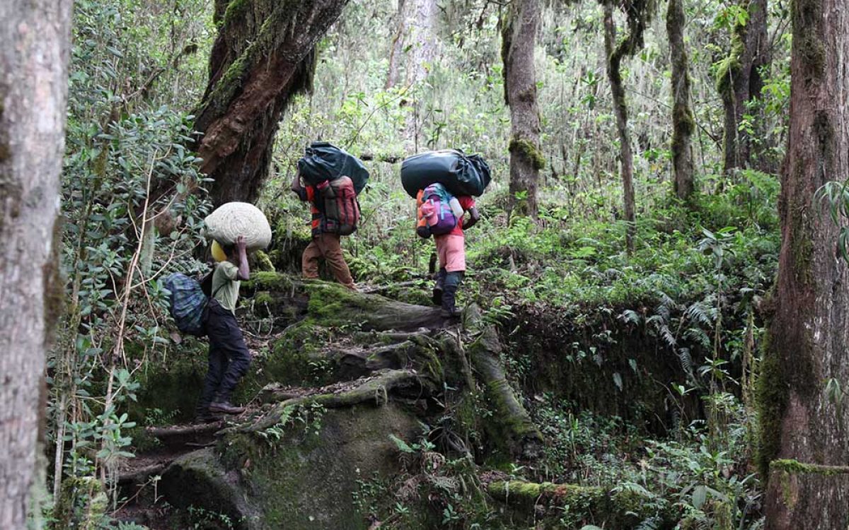 machame 1 (2) machame 1 (2)