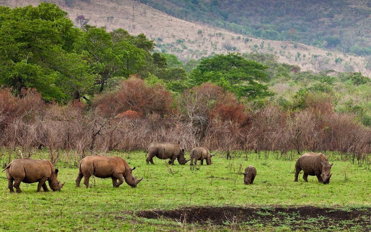 ngorongoro (6)